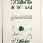 Colombe de l’Avenir