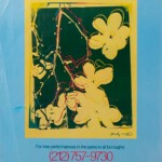 Summer arts in the parks