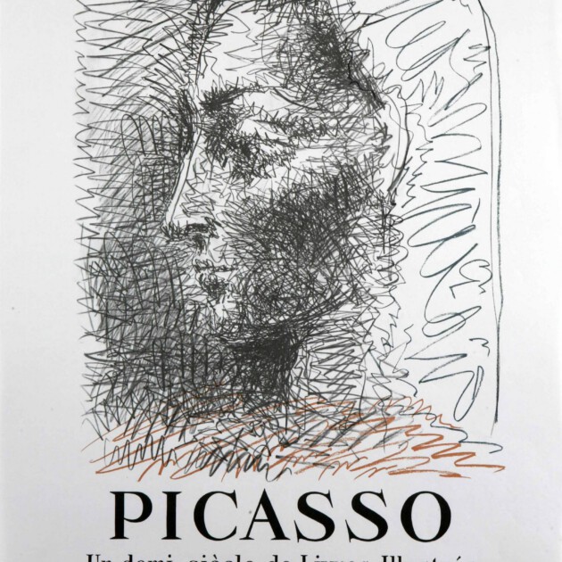 Une demi siecle de livres illustres